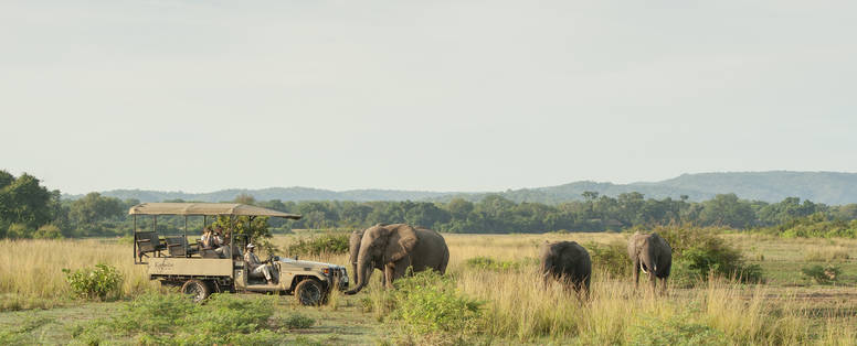 safari bij Kafunta in Zambia
