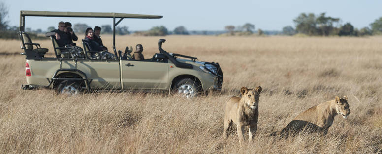 safari bij Busanga Bush Camp in Zambia