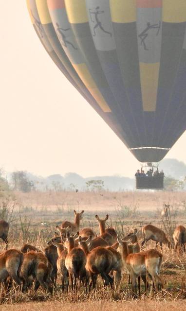 luchtballon vlucht bij Shumba in Zambia