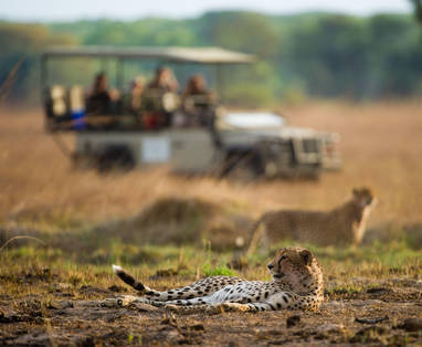 safari bij Shumba in Zambia
