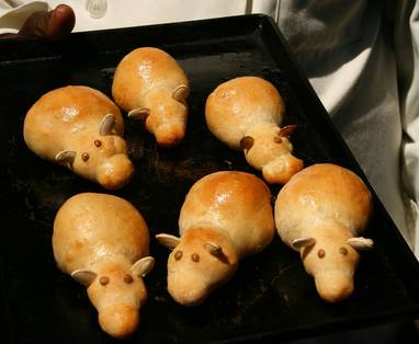 Kaingu_Safari_Lodge_hippo_brood