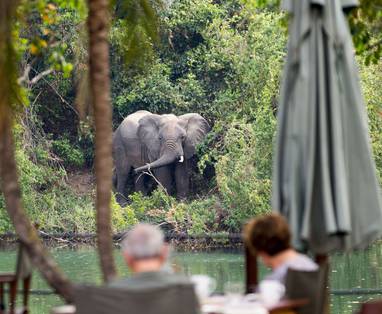 Kaingu_Safari_Lodge_olifant_2