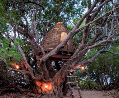 Kaingu_Safari_Lodge_tonga_tree_basket