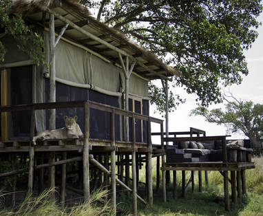 tent bij Shumba in Zambia
