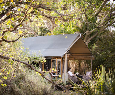 Tent van buitenaf bij Busanga Bush Camp in Zambia