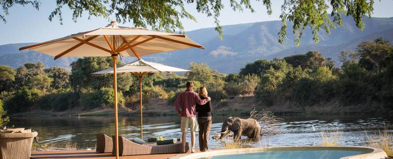 olifanten bij Chongwe House in Zambia