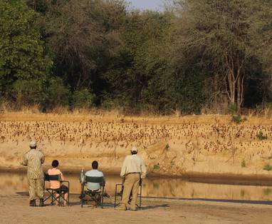 vogels bij Luambe Camp in Zambia