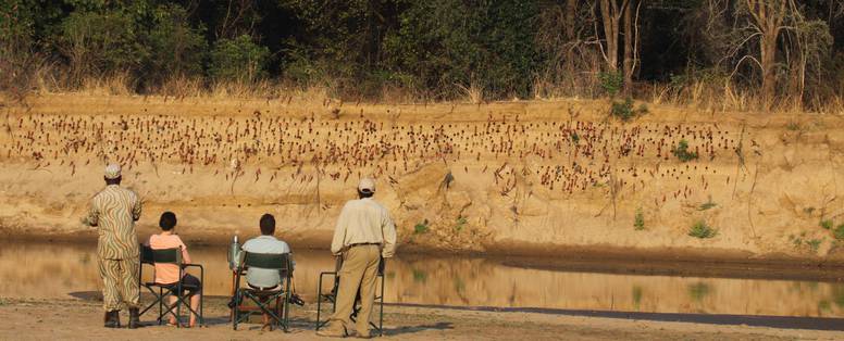 vogels bij Luambe Camp in Zambia
