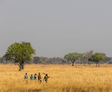 wandelsafari bij Luambe Camp