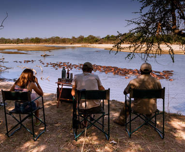 nijlpaarden bij Luambe Camp in Zambia