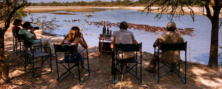 nijlpaarden bij Luambe Camp in Zambia