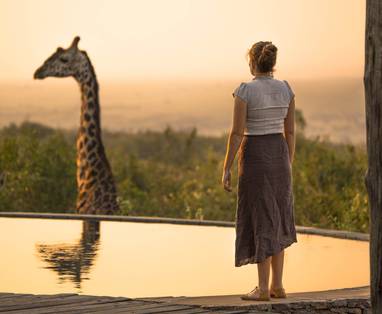 zwembad bij Mara Bushtops in kenia