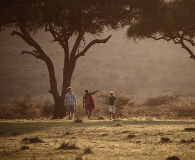 wandelen bij Mara Bushtops in kenia