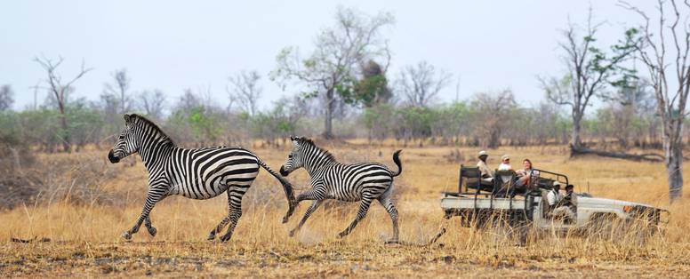 Safari bij Tafika Camp in zambia