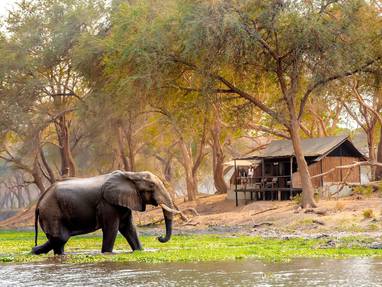 Olifanten voor old mondoro in zambia