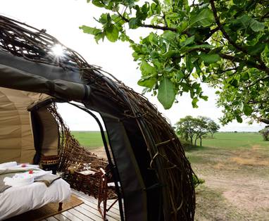 Tent vanaf buiten bij Chisa Busanga Camp 