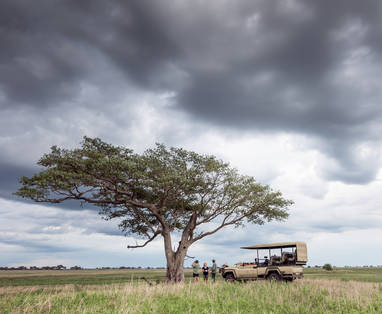 Safari bij Chisa Busanga Camp