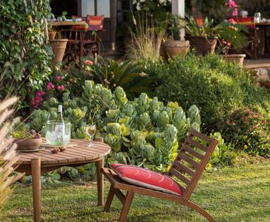 groene terrassen bij Ololo safari lodge in kenia