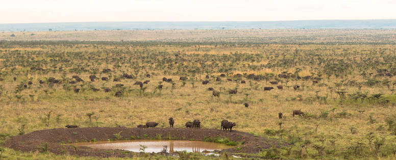 nationale park bij Ole Sereni in Kenia