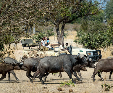 s_luangwa_2014-07-104e