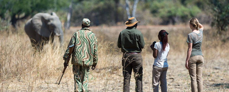wandelsafari bij Nkwali Camp in zambia