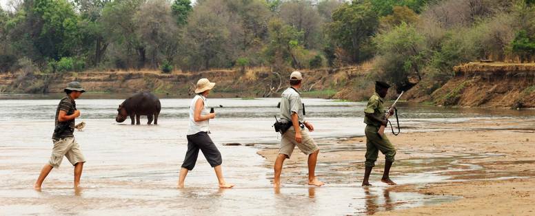 Wandelsafari's bij Mwaleshi Camp in Zambia