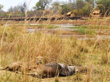 vooraanzicht bij Mwaleshi Camp in Zambia
