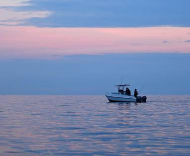 visexcursie bij Rubondo Island Camp in Tanzania