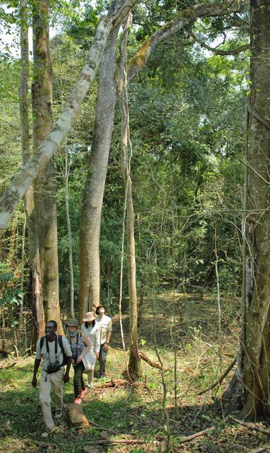 wandeltocht bij Rubondo Island Camp in Tanzania