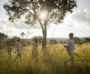 wandelsafari's bij Ngare Serian in Kenia