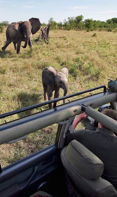 Safari bij Serian's Serengeti in Tanzania