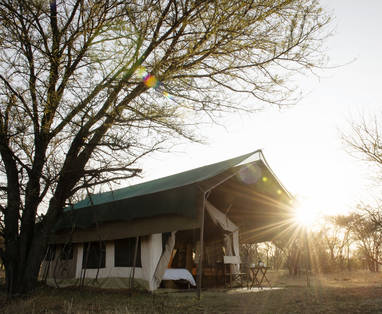 tent bij Serian's Serengeti in Tanzania