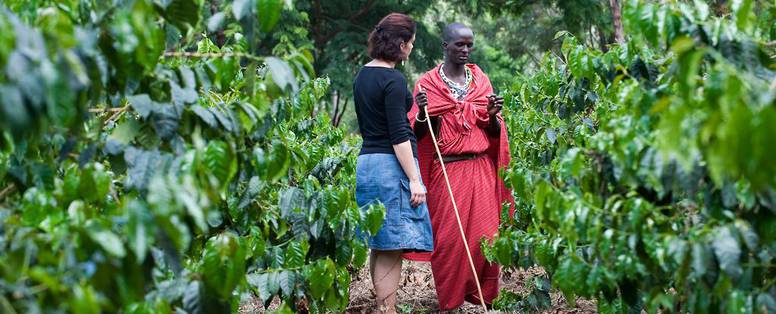 Farm_House__proeftuin
