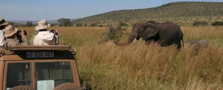 serengeti_plains