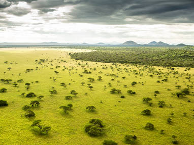 Uitgestrekte vlaktes in Kenia