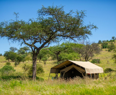Kati_Kati__tent_omgeving_2
