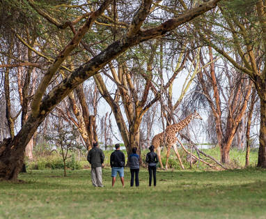 wandelsafari's kenia
