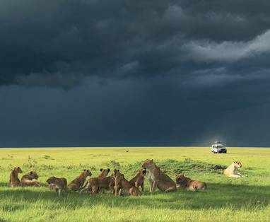 safari bij Zebra Plains Mara Camp in Kenia