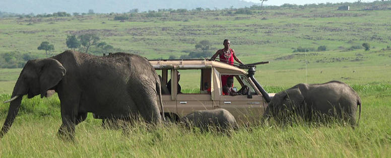 safari bij Zebra Plains Mara Camp in Kenia