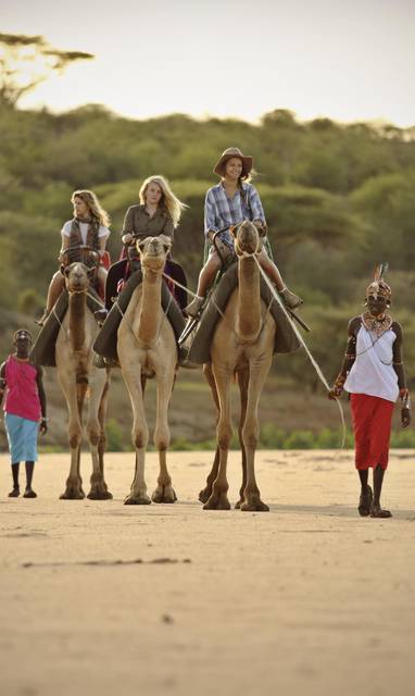 kamelen safari in kenia