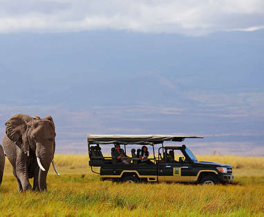 Tortilis_Camp__safari