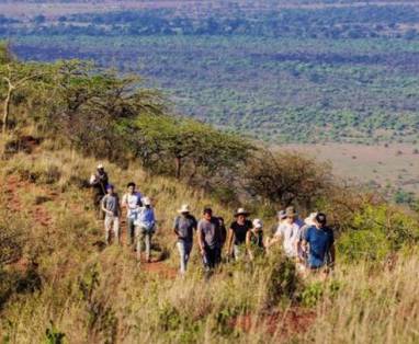 Kenia, Finch Hattons wandelsafari