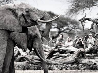 Begeleide wandelsafari in Kenia