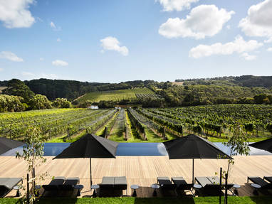 Zwembad en wijngaard bij Jackalope in Australië