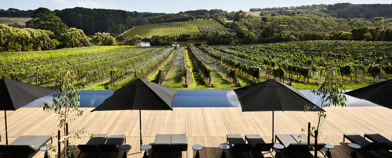 Zwembad en wijngaard bij Jackalope in Australië