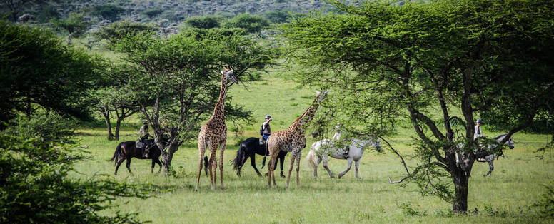 paardrijsafari bij Ol Donyo Lodge in Kenia