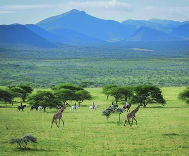 Paardrijsafari in kenia