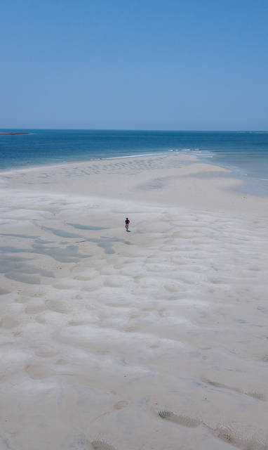 strand bij Msambweni Beach House in Kenia