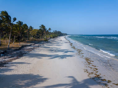 privé strand bij Msambweni Beach House in Kenia