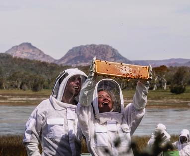 Honing activiteit bij Saffire Freycinet in Australië